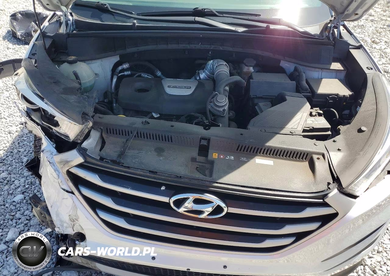 2017 Hyundai Tucson Sport VIN:KM8J3CA27HU270291 - 12