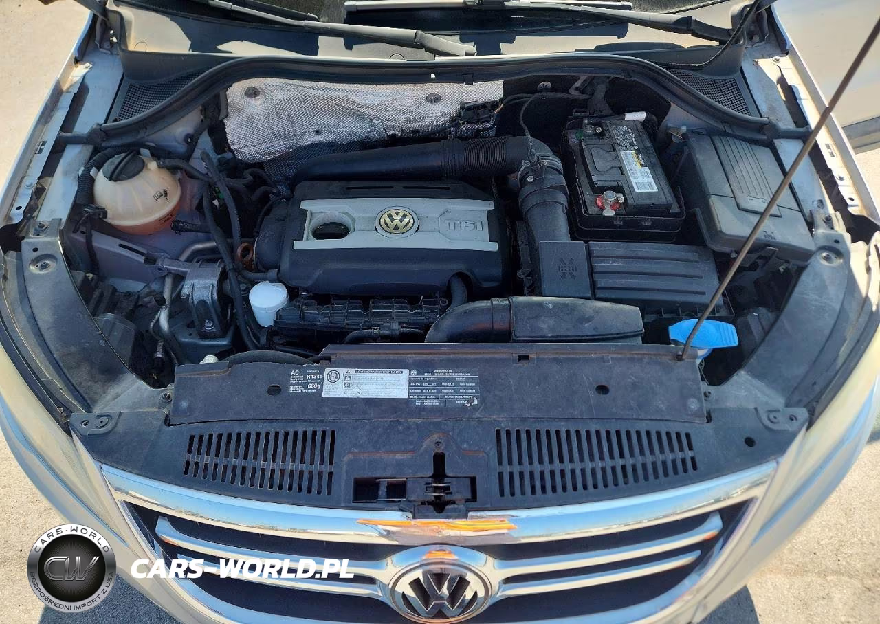 2010 Volkswagen Tiguan S VIN:WVGAV7AX6AW532051 - 11