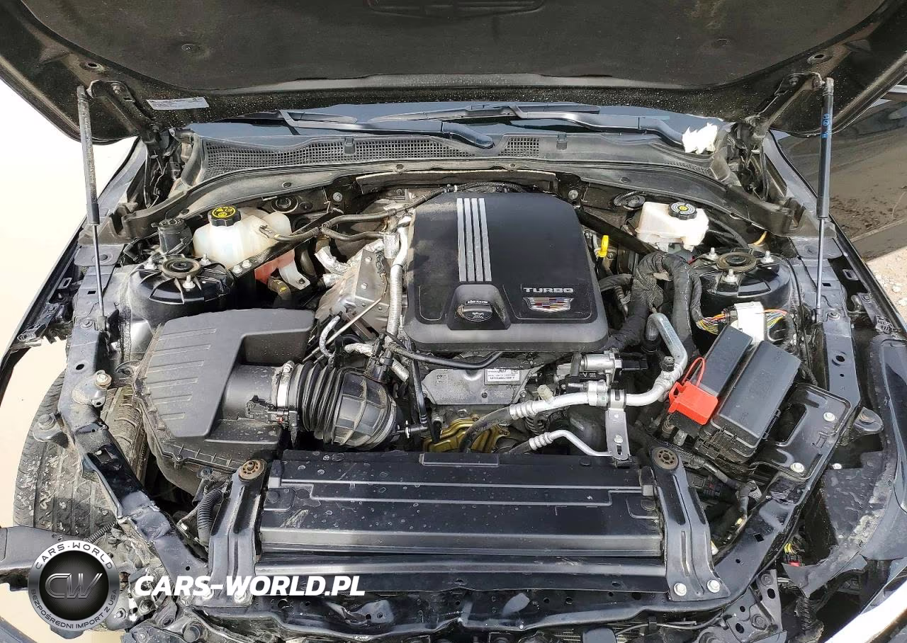 2024 Cadillac Ct4 Premium Luxury VIN:1G6DF5RK4R0109434 - 11