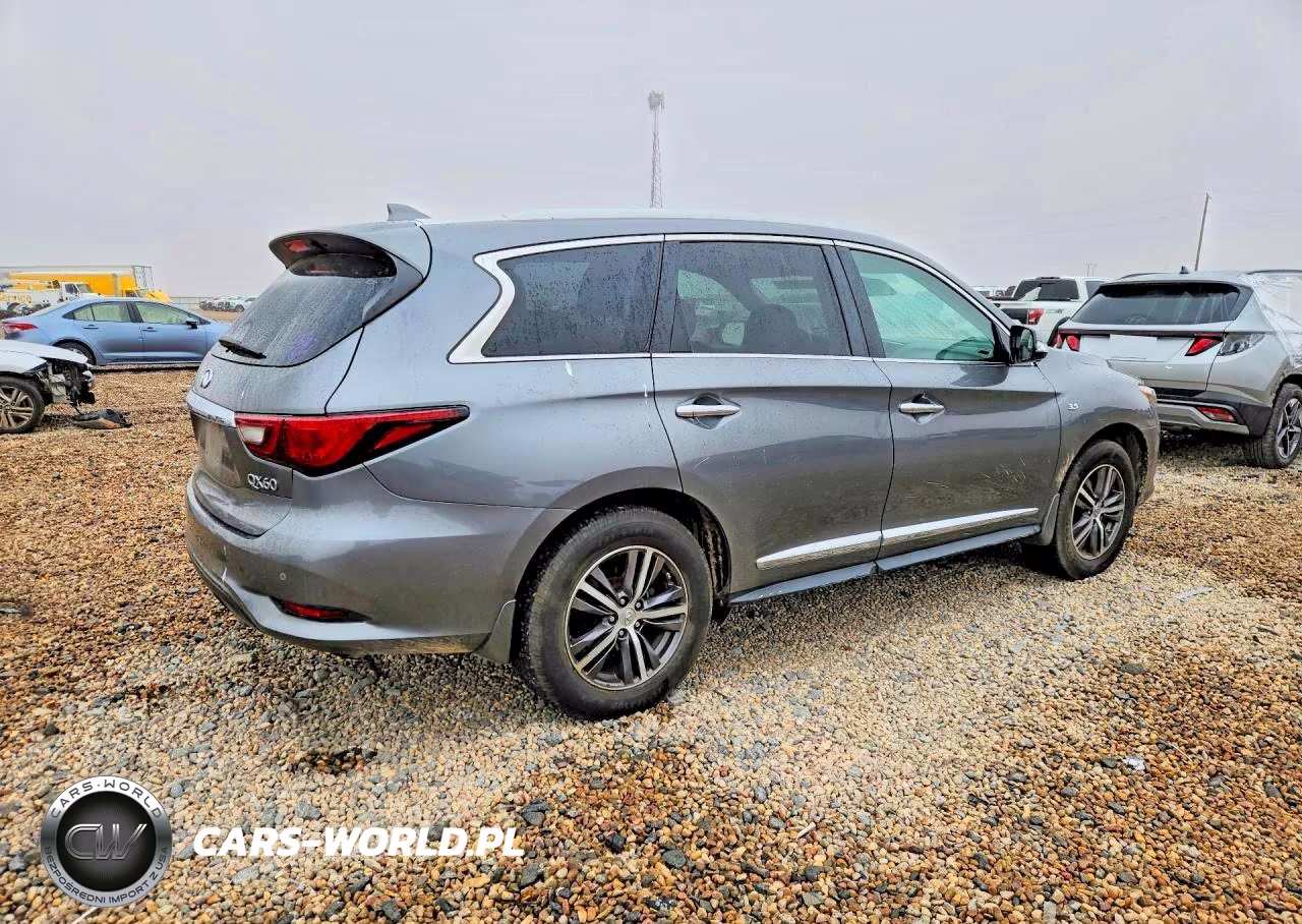 2019 Infiniti Qx60 Pure VIN:5N1DL0MM1KC530819 - 3