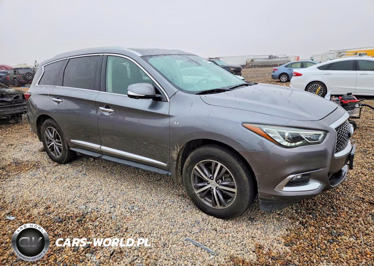 2019 Infiniti Qx60 Pure VIN:5N1DL0MM1KC530819 - 4