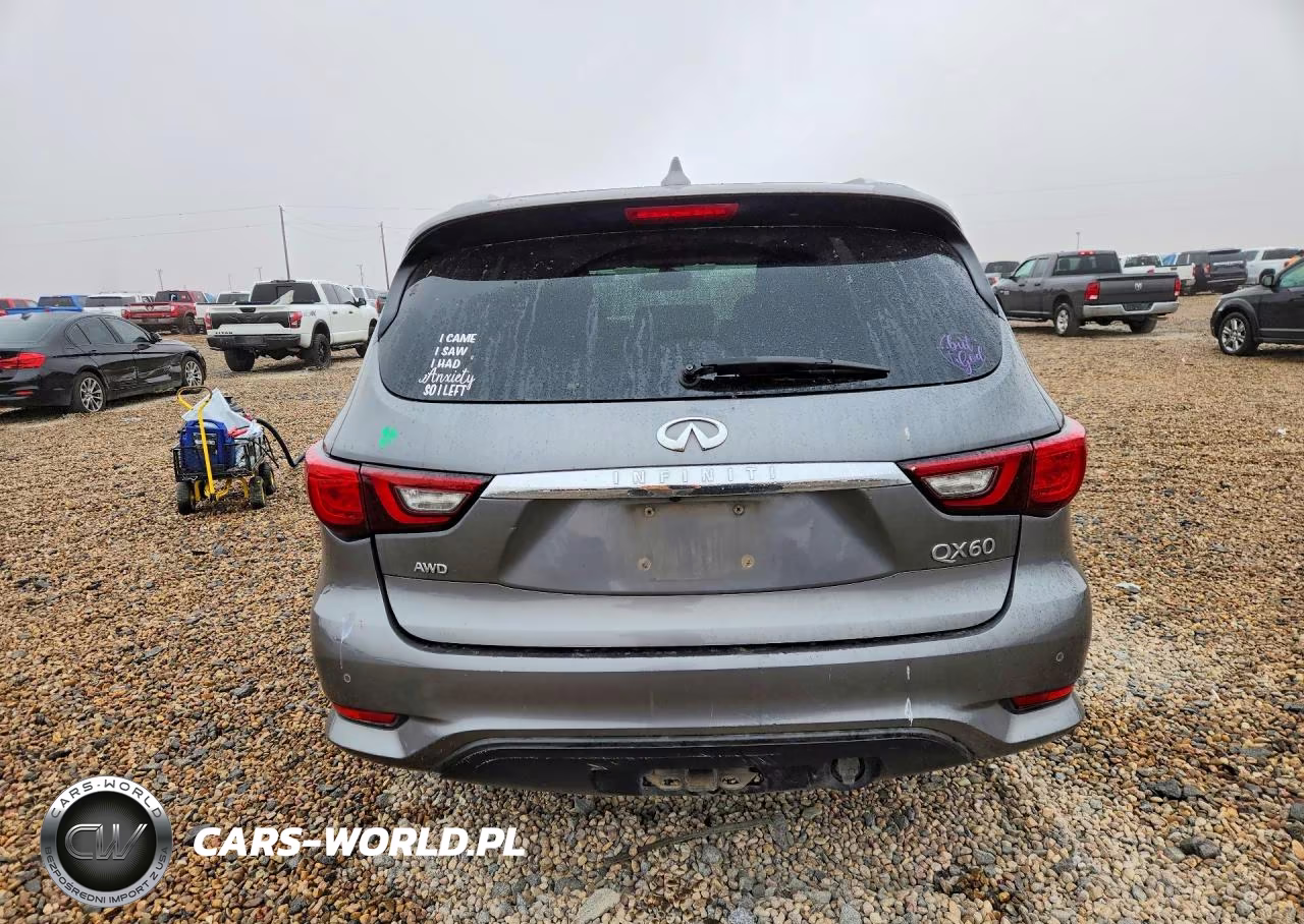 2019 Infiniti Qx60 Pure VIN:5N1DL0MM1KC530819 - 6