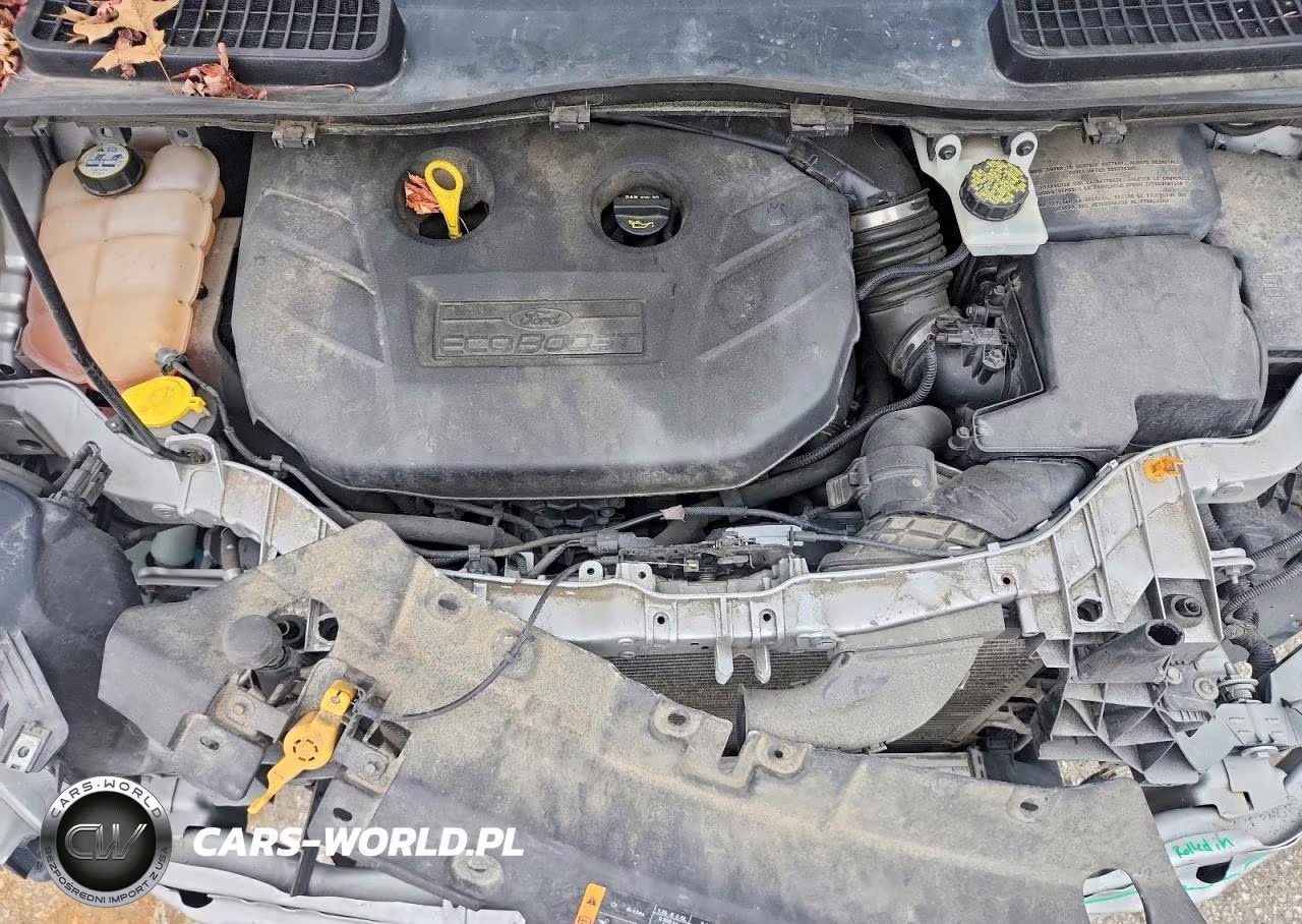 2013 Ford Escape Sel VIN:1FMCU0H99DUC79611 - 12