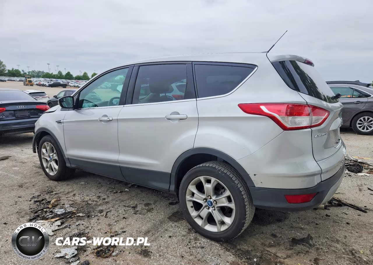 2013 Ford Escape Sel VIN:1FMCU0H99DUC79611 - 2