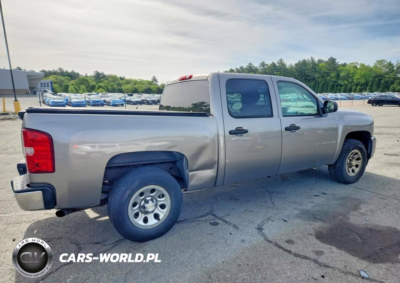2009 Chevrolet Silverado K1500 VIN:3GCEK13C69G226726 - 3