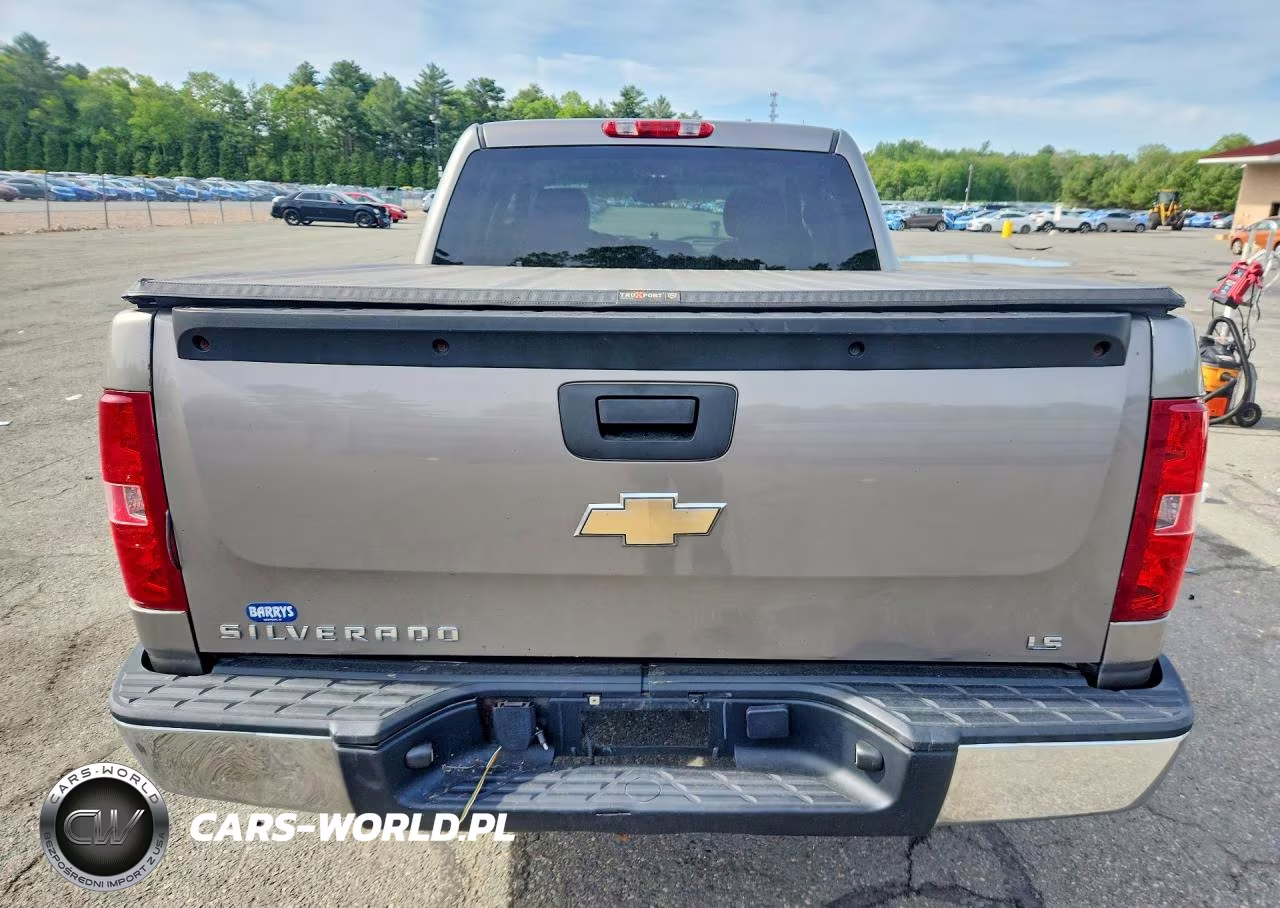 2009 Chevrolet Silverado K1500 VIN:3GCEK13C69G226726 - 6