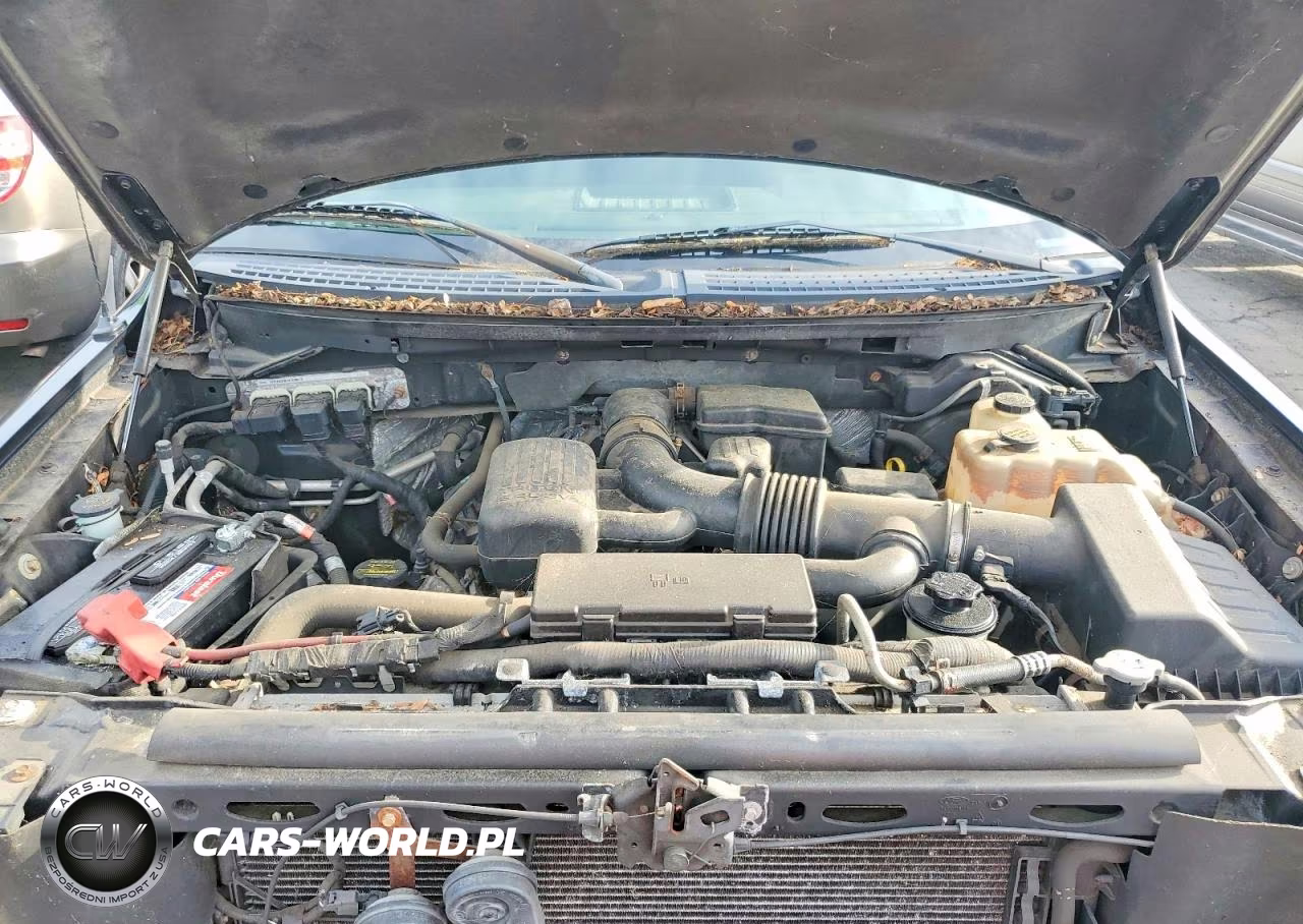 2010 Ford F150 Supercrew VIN:1FTFW1EV7AFC60848 - 11