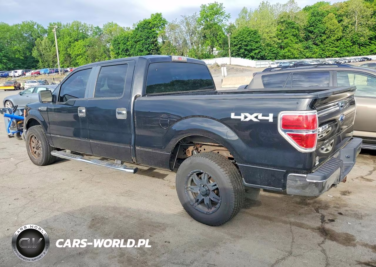 2010 Ford F150 Supercrew VIN:1FTFW1EV7AFC60848 - 2