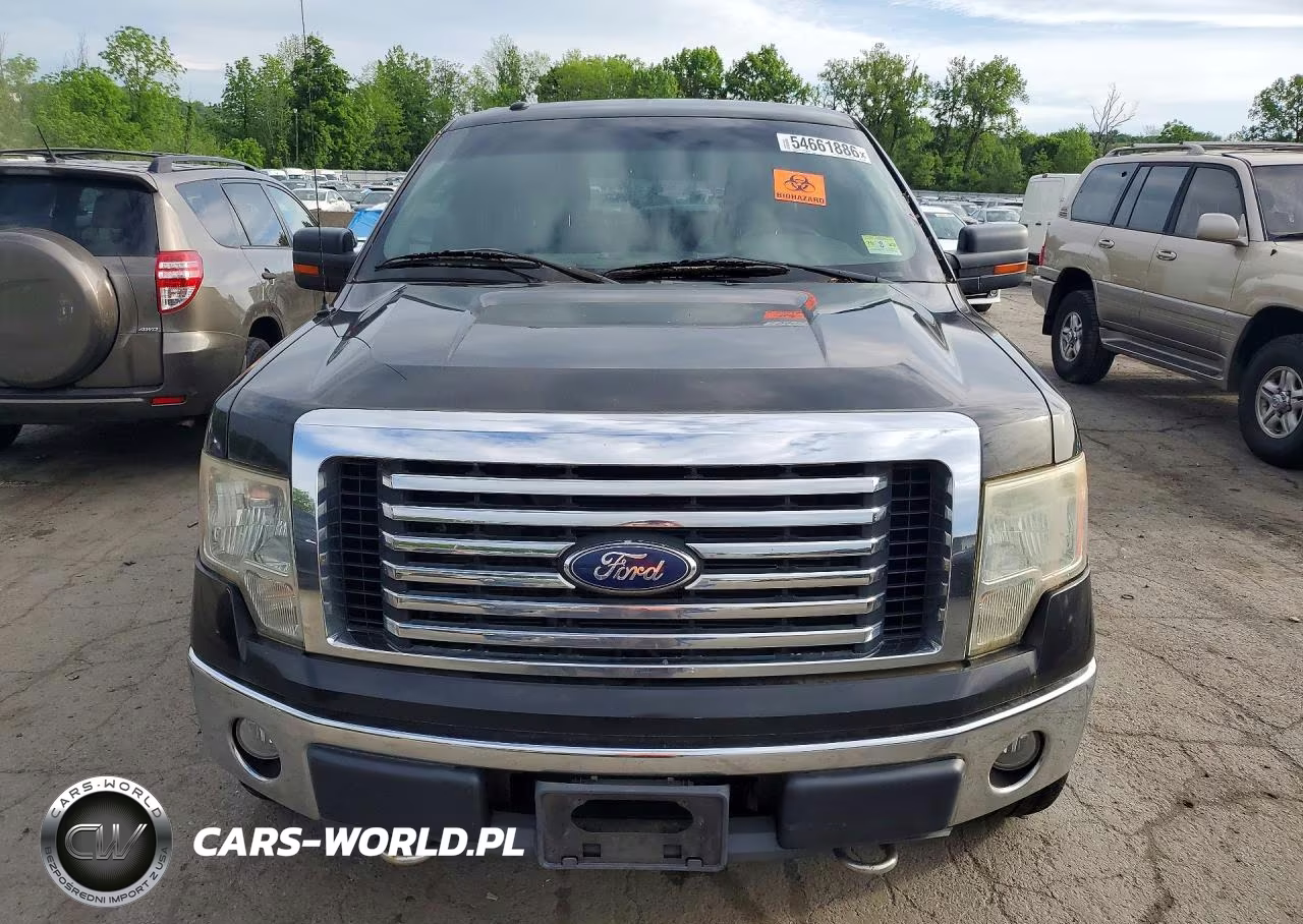 2010 Ford F150 Supercrew VIN:1FTFW1EV7AFC60848 - 5
