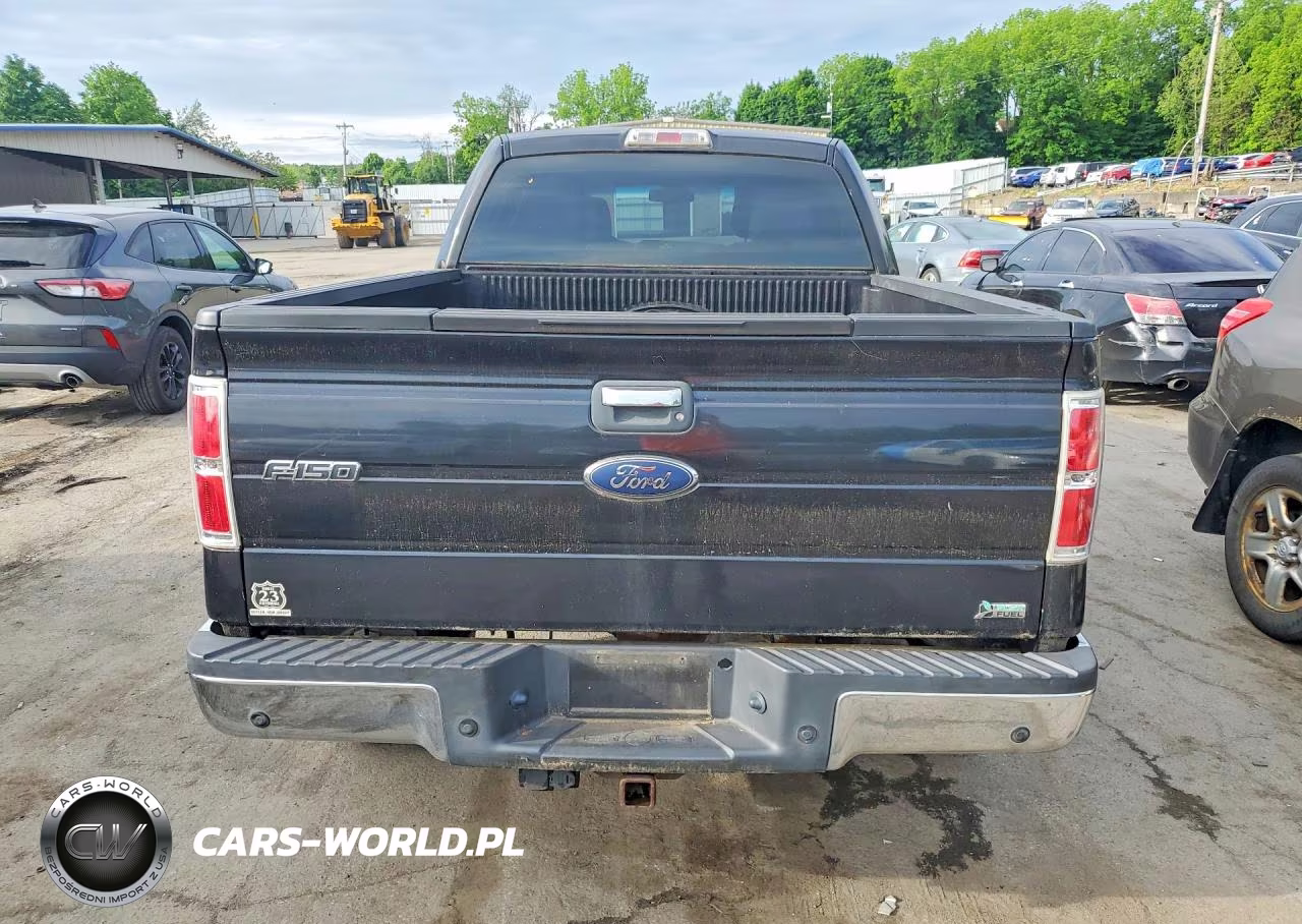 2010 Ford F150 Supercrew VIN:1FTFW1EV7AFC60848 - 6