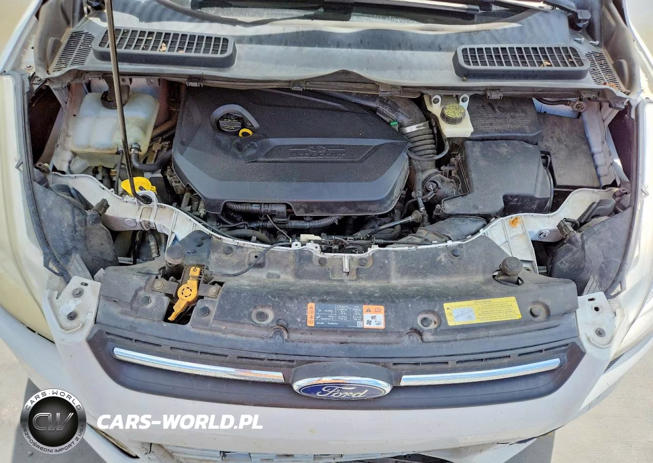 2014 Ford Escape Se VIN:1FMCU0GX3EUC31930 - 12