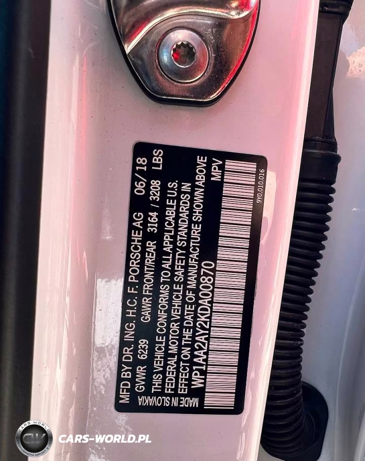 2019 Porsche Cayenne VIN:WP1AA2AY2KDA00870 - 10