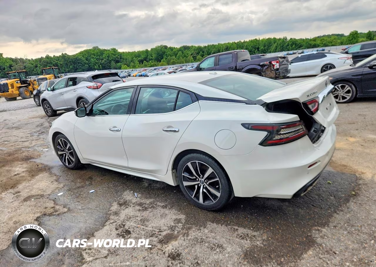 2023 Nissan Maxima Sv VIN:1N4AA6CV9PC509112 - 2