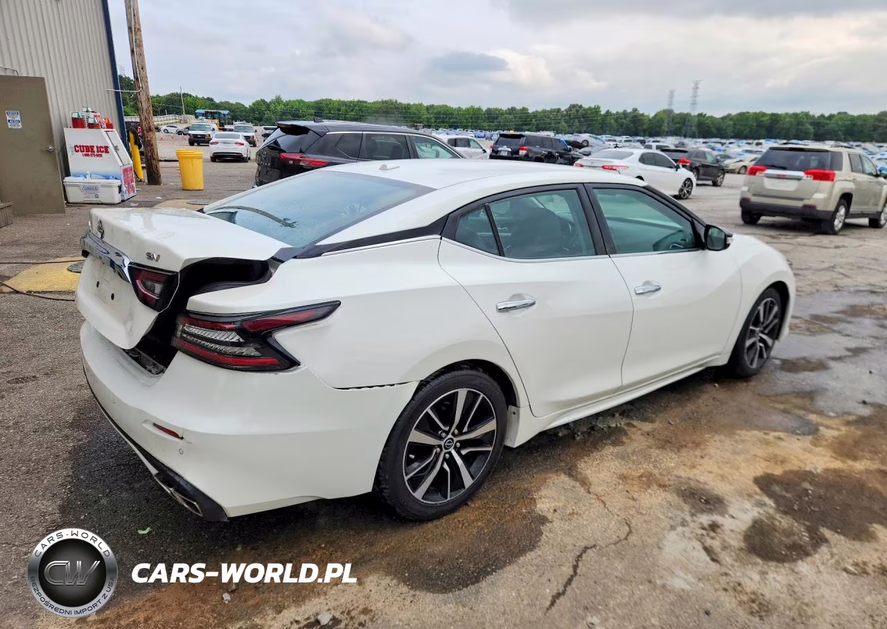2023 Nissan Maxima Sv VIN:1N4AA6CV9PC509112 - 3