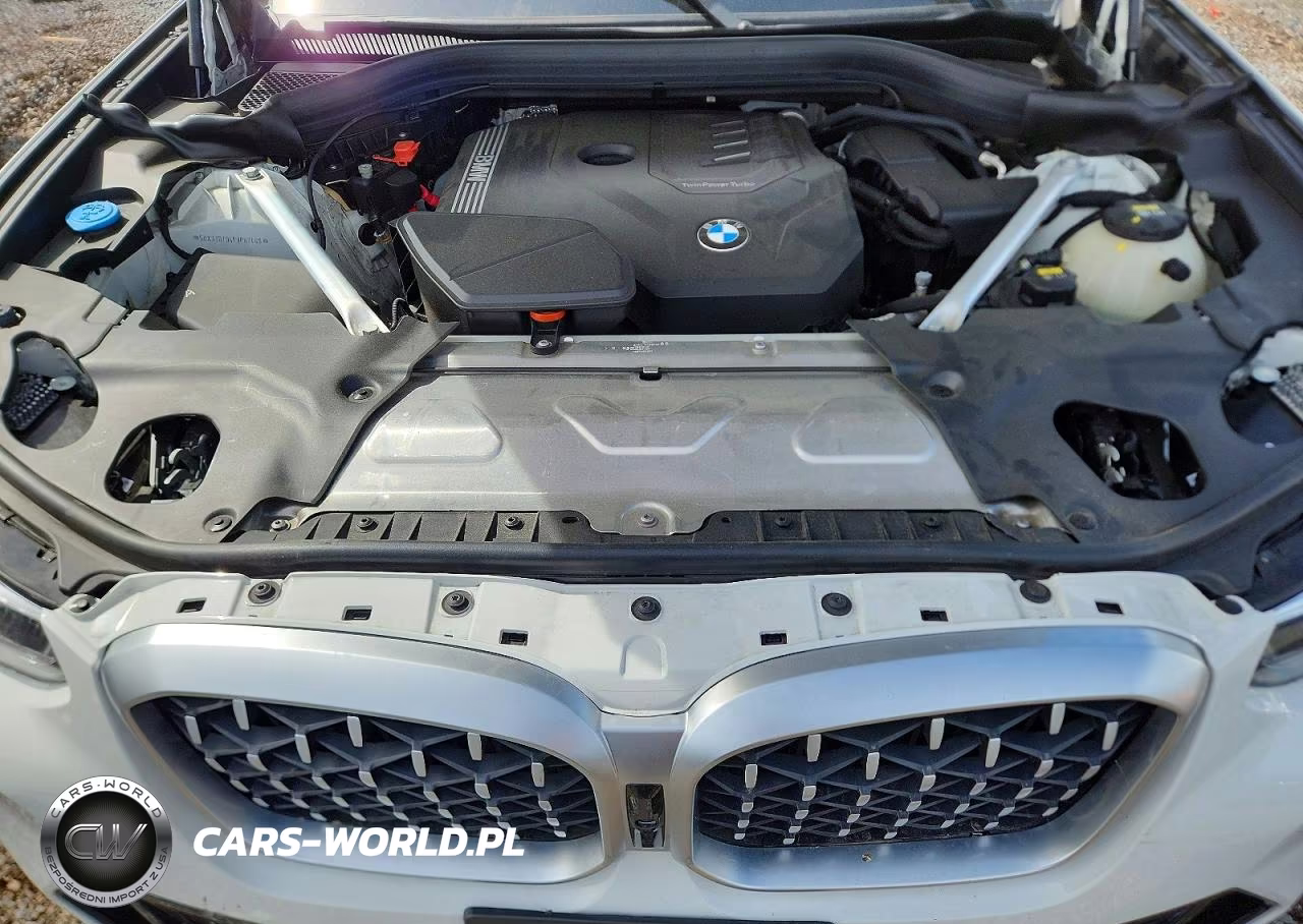 2023 BMW X4 xDrive30I VIN:5UX33DT04P9P87448 - 12