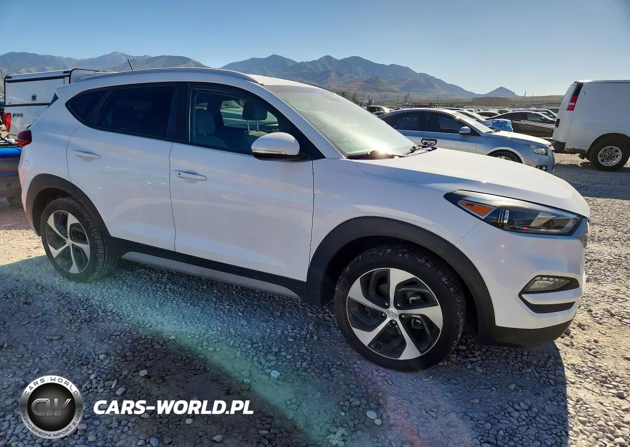 2017 Hyundai Tucson Sport VIN:KM8J3CA25HU369594 - 4