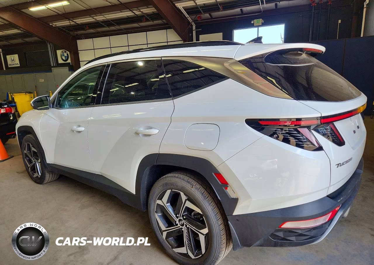 2022 Hyundai Tucson Limited VIN:5NMJECAE5NH052538 - 2