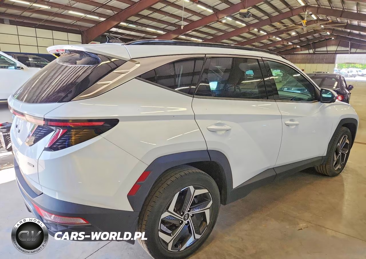 2022 Hyundai Tucson Limited VIN:5NMJECAE5NH052538 - 3