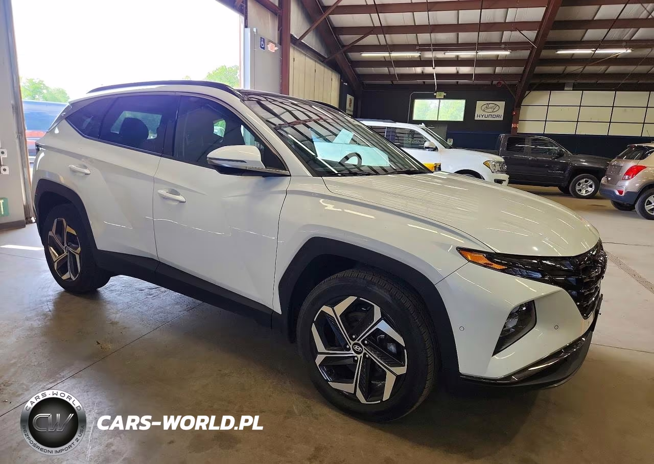 2022 Hyundai Tucson Limited VIN:5NMJECAE5NH052538 - 4
