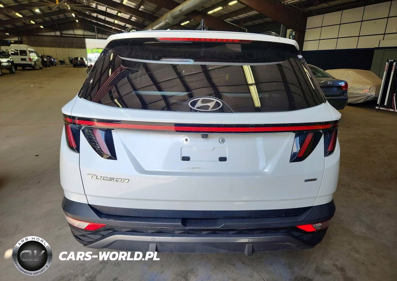 2022 Hyundai Tucson Limited VIN:5NMJECAE5NH052538 - 6