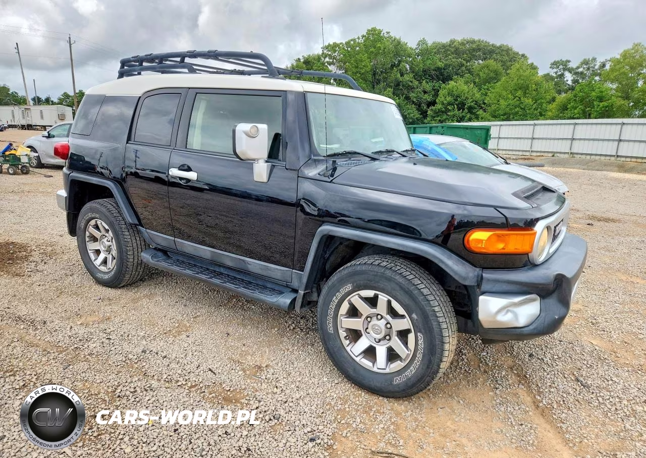 2014 Toyota Fj Cruiser Base VIN:JTEBU4BF4EK186073 - 4