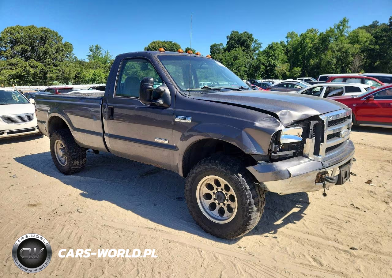 2006 Ford F250 Super Duty VIN:1FTSF21P46EC19473 - 5