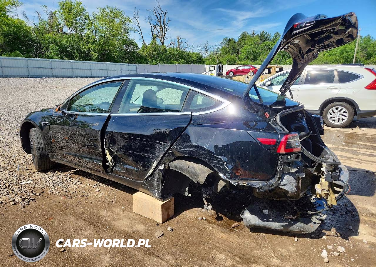 2019 Tesla Model 3 VIN:5YJ3E1EA2KF189972 - 2