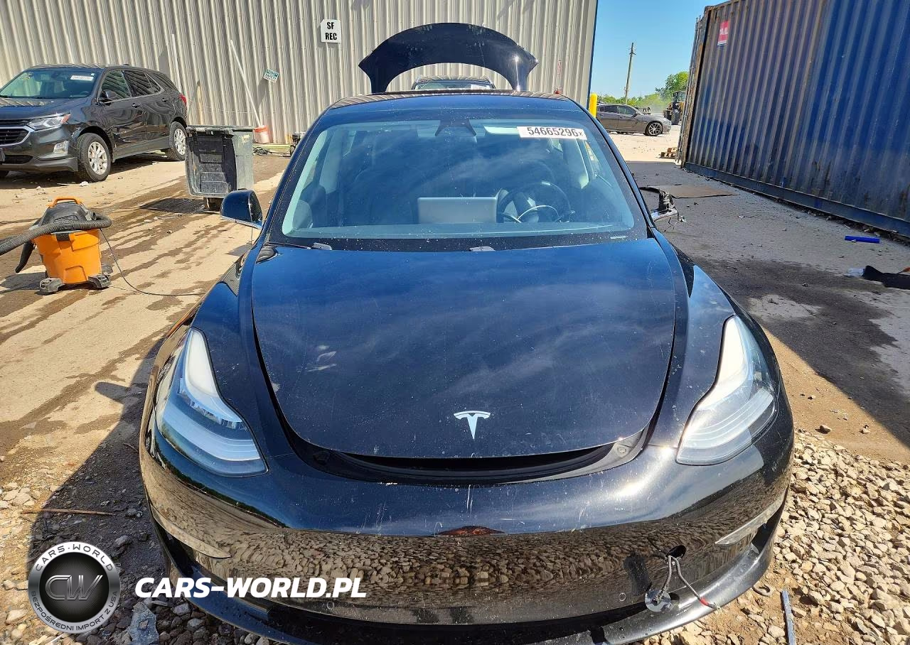 2019 Tesla Model 3 VIN:5YJ3E1EA2KF189972 - 5