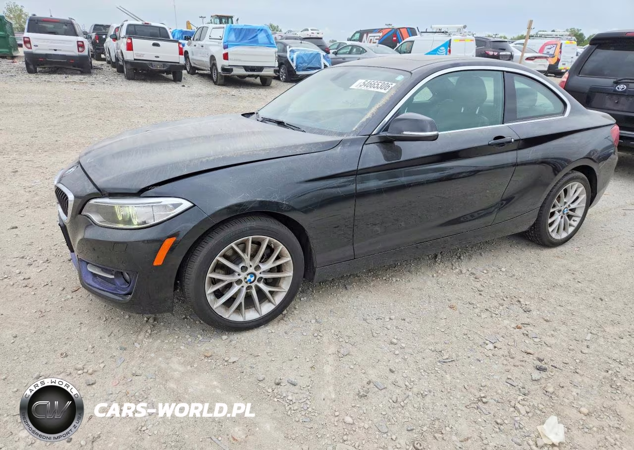 2016 BMW 228 Xi Sulev
