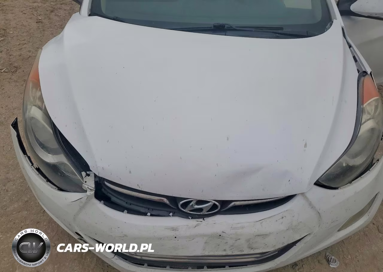 2013 Hyundai Elantra Limited VIN:5NPDH4AE7DH195258 - 11