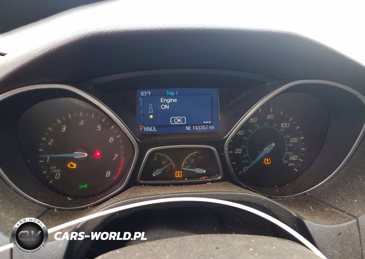 2014 Ford Focus Se VIN:1FADP3K2XEL456063 - 9