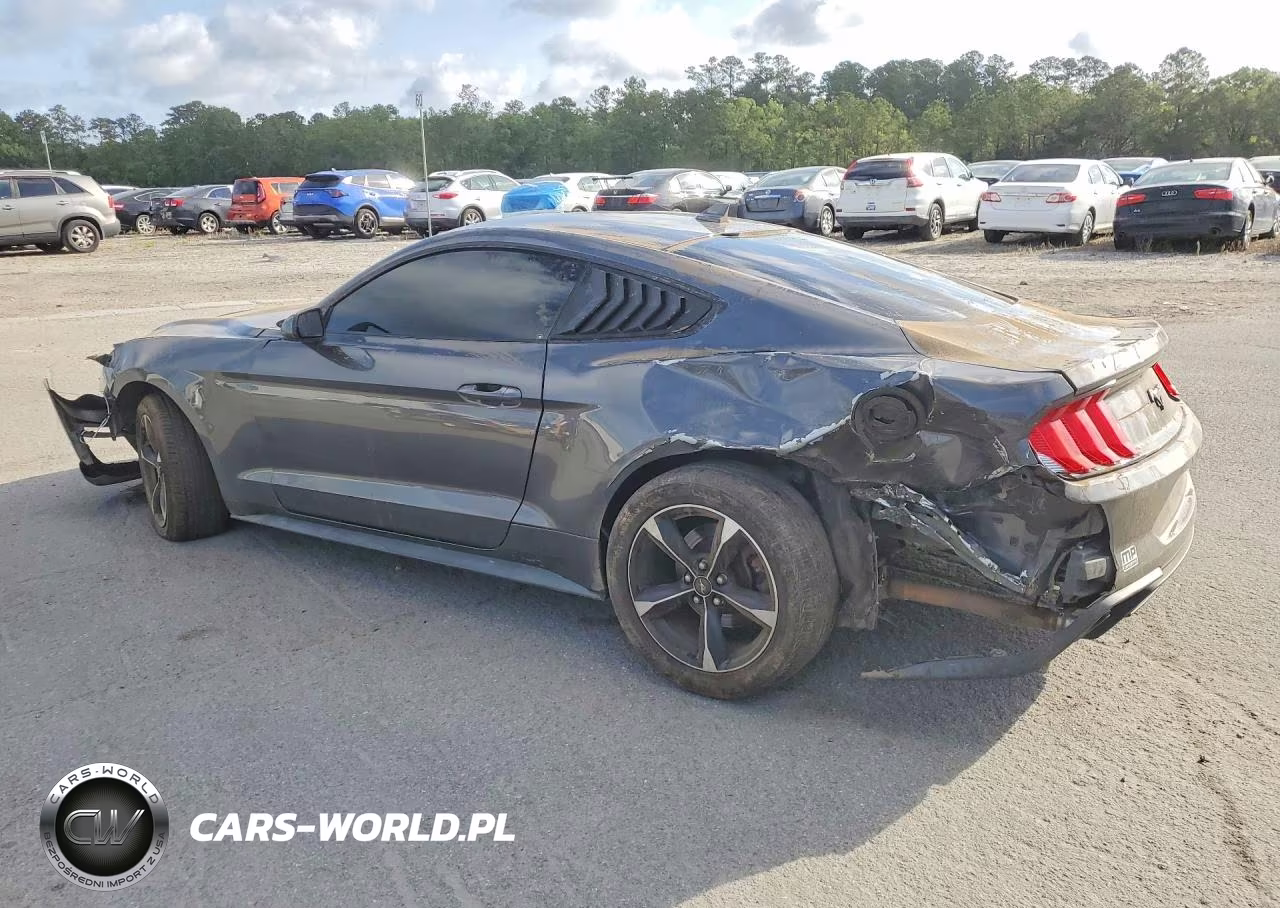 2020 Ford Mustang VIN:1FA6P8TH7L5171296 - 2