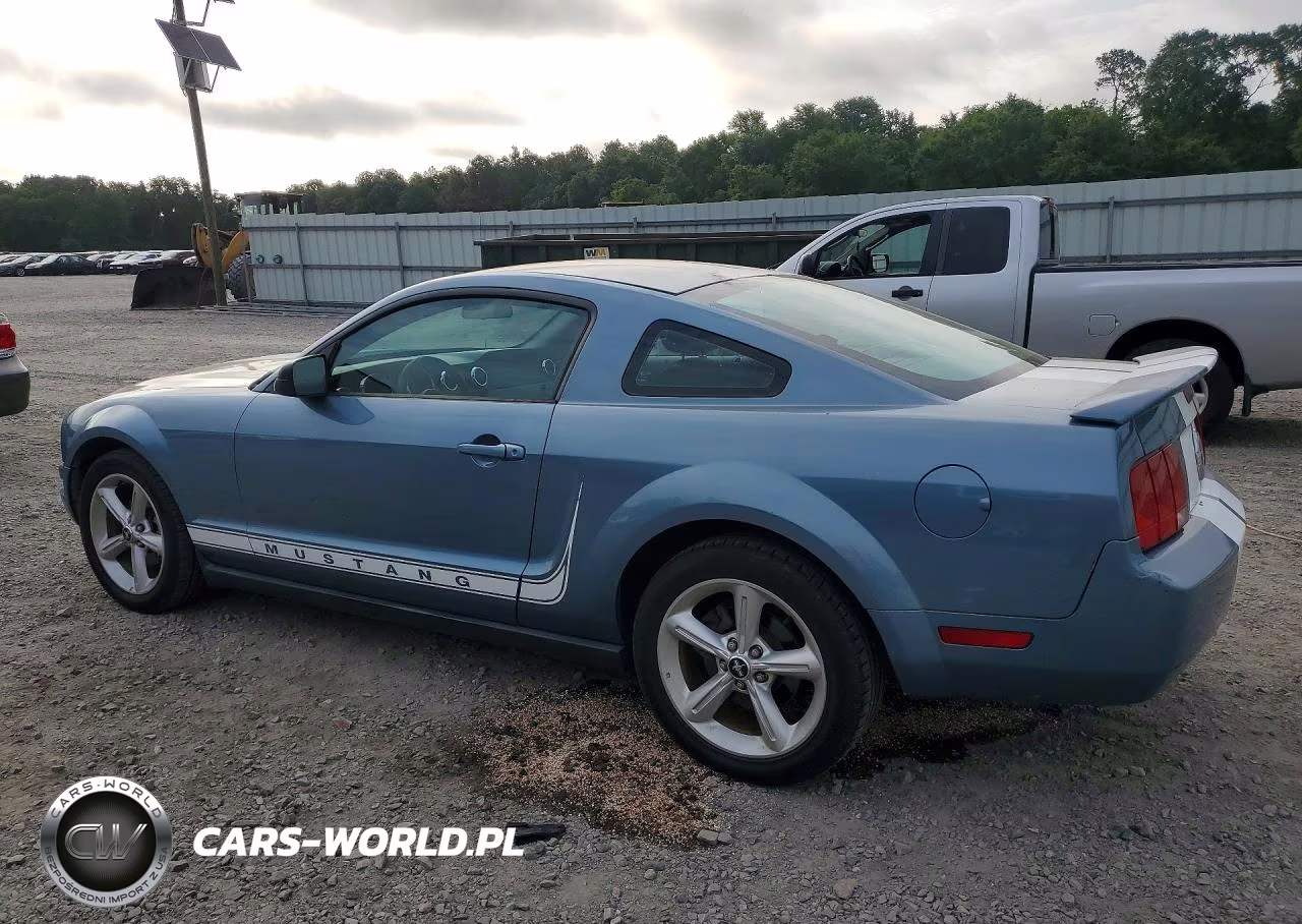 2005 Ford Mustang VIN:1ZVFT80N455152382 - 2