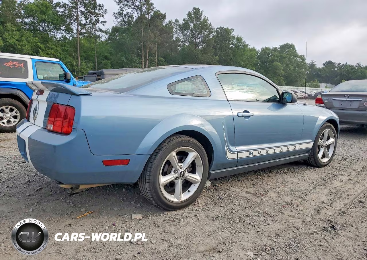 2005 Ford Mustang VIN:1ZVFT80N455152382 - 3