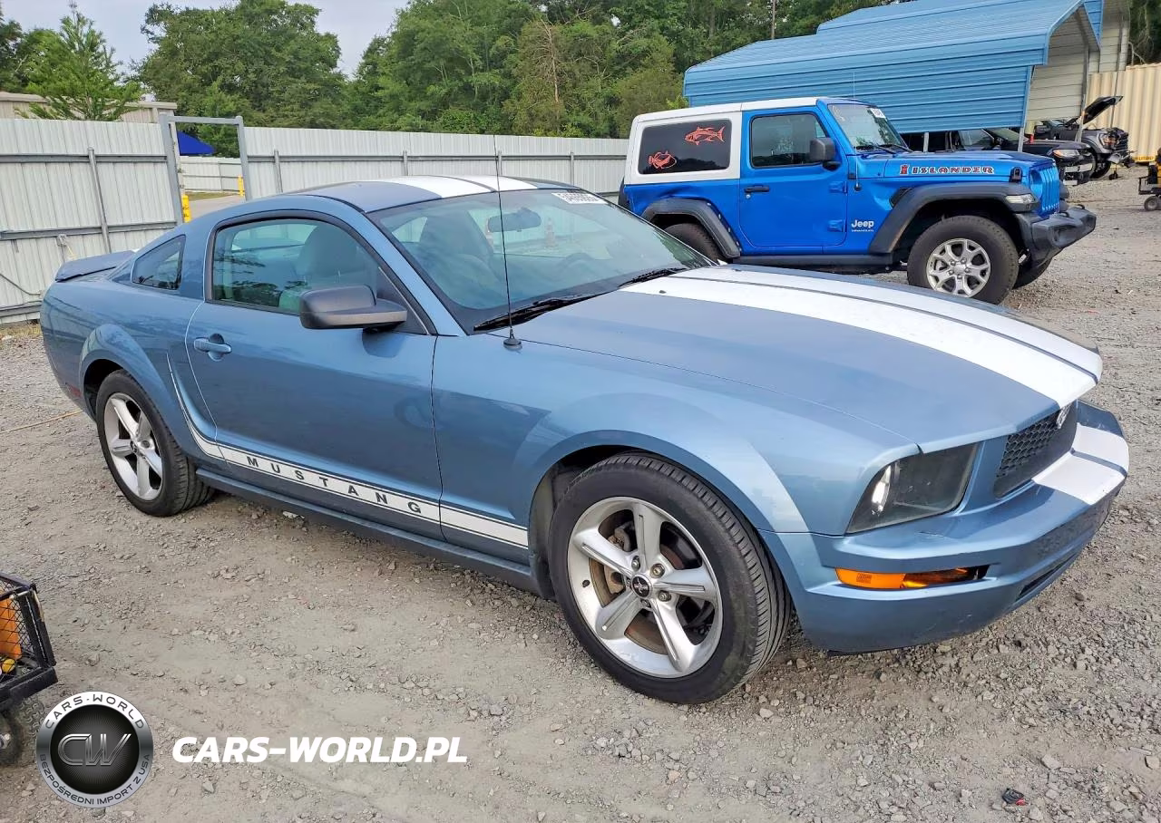 2005 Ford Mustang VIN:1ZVFT80N455152382 - 4