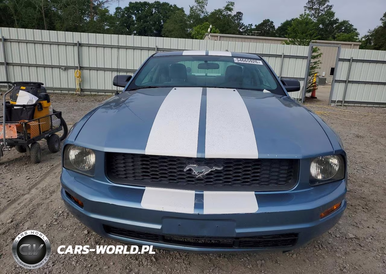 2005 Ford Mustang VIN:1ZVFT80N455152382 - 5