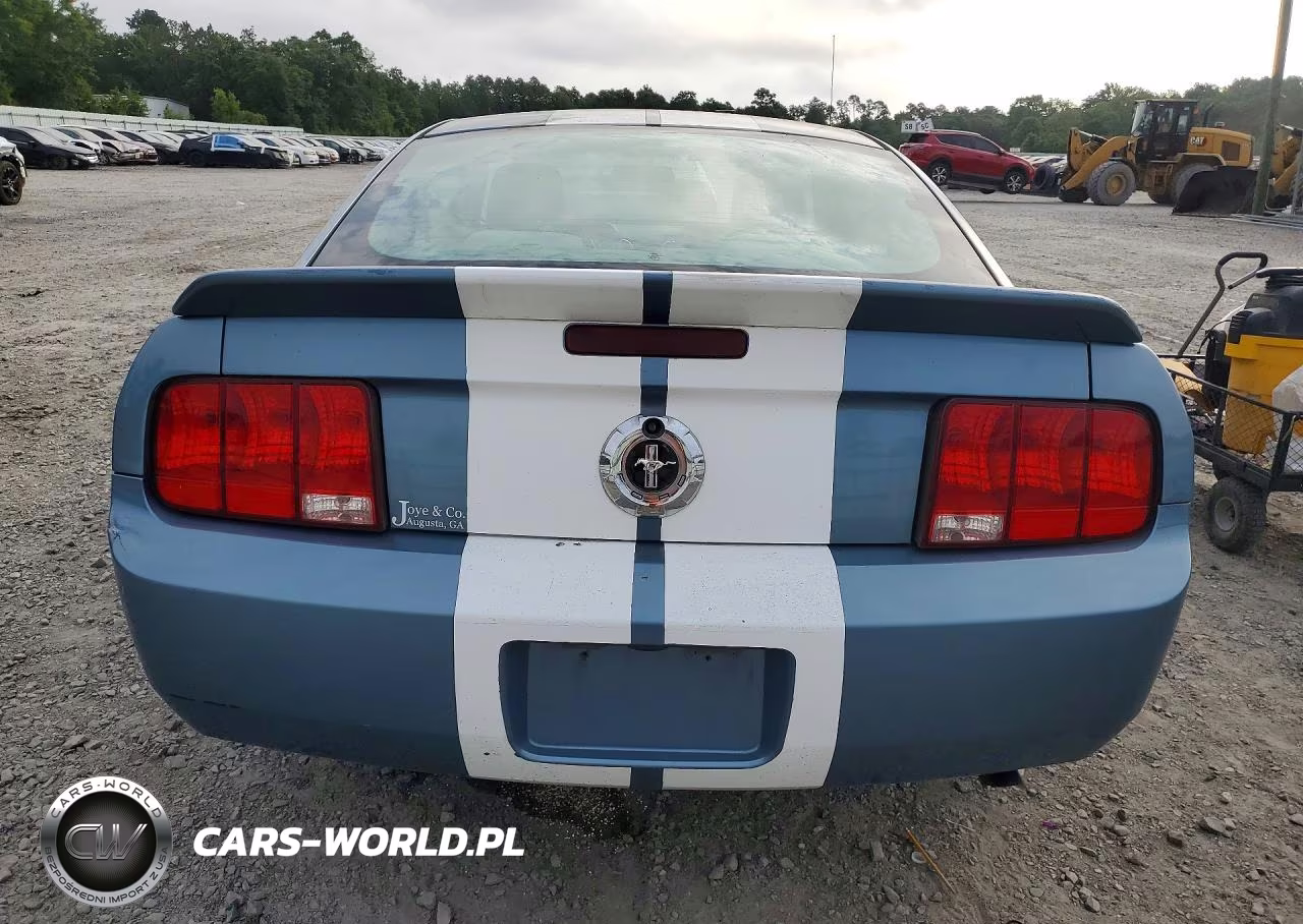 2005 Ford Mustang VIN:1ZVFT80N455152382 - 6