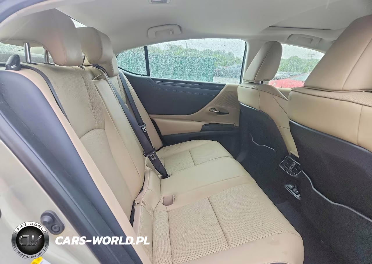 2019 Lexus Es 300H VIN:JTHB21B11K2030483 - 10
