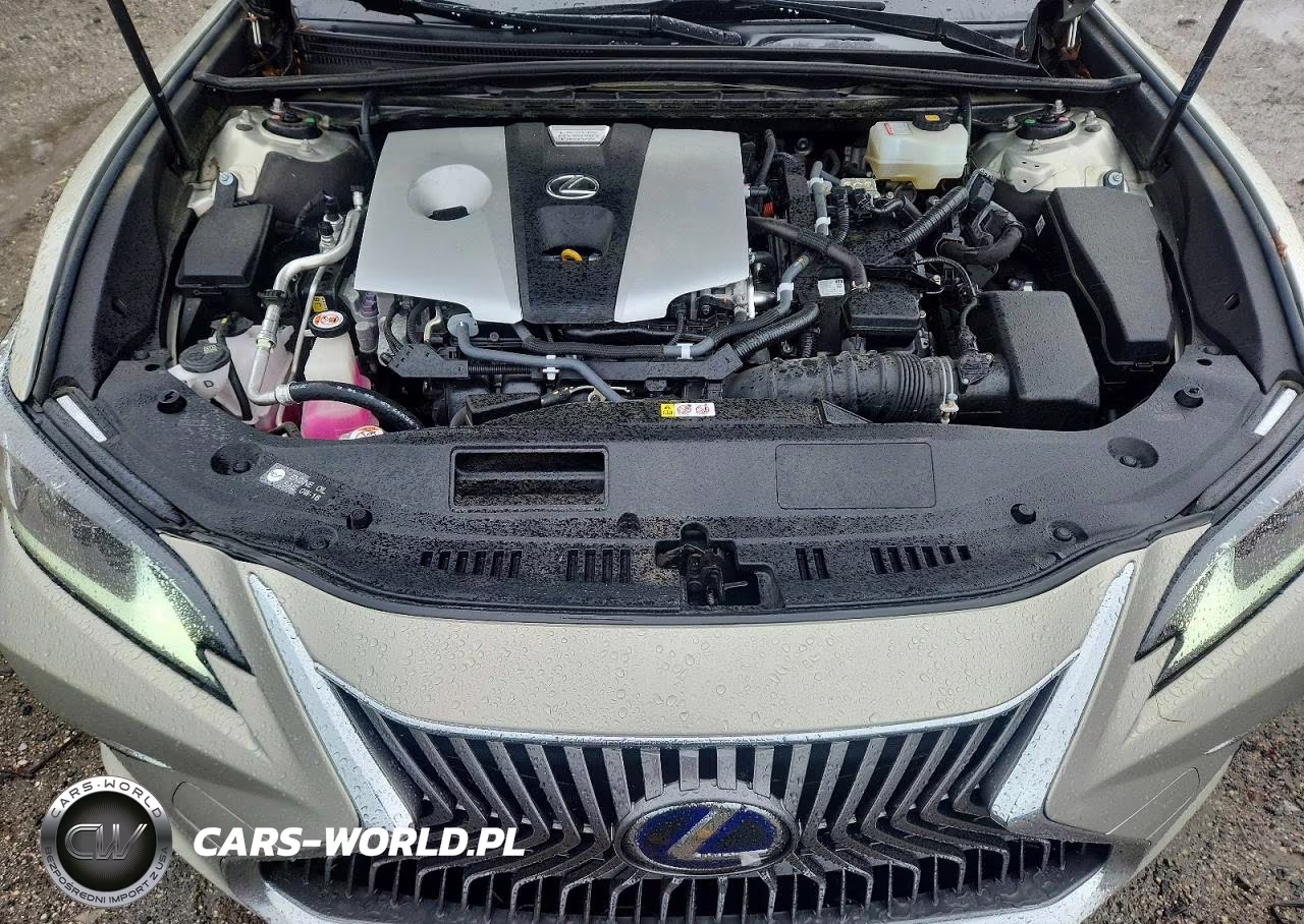 2019 Lexus Es 300H VIN:JTHB21B11K2030483 - 11