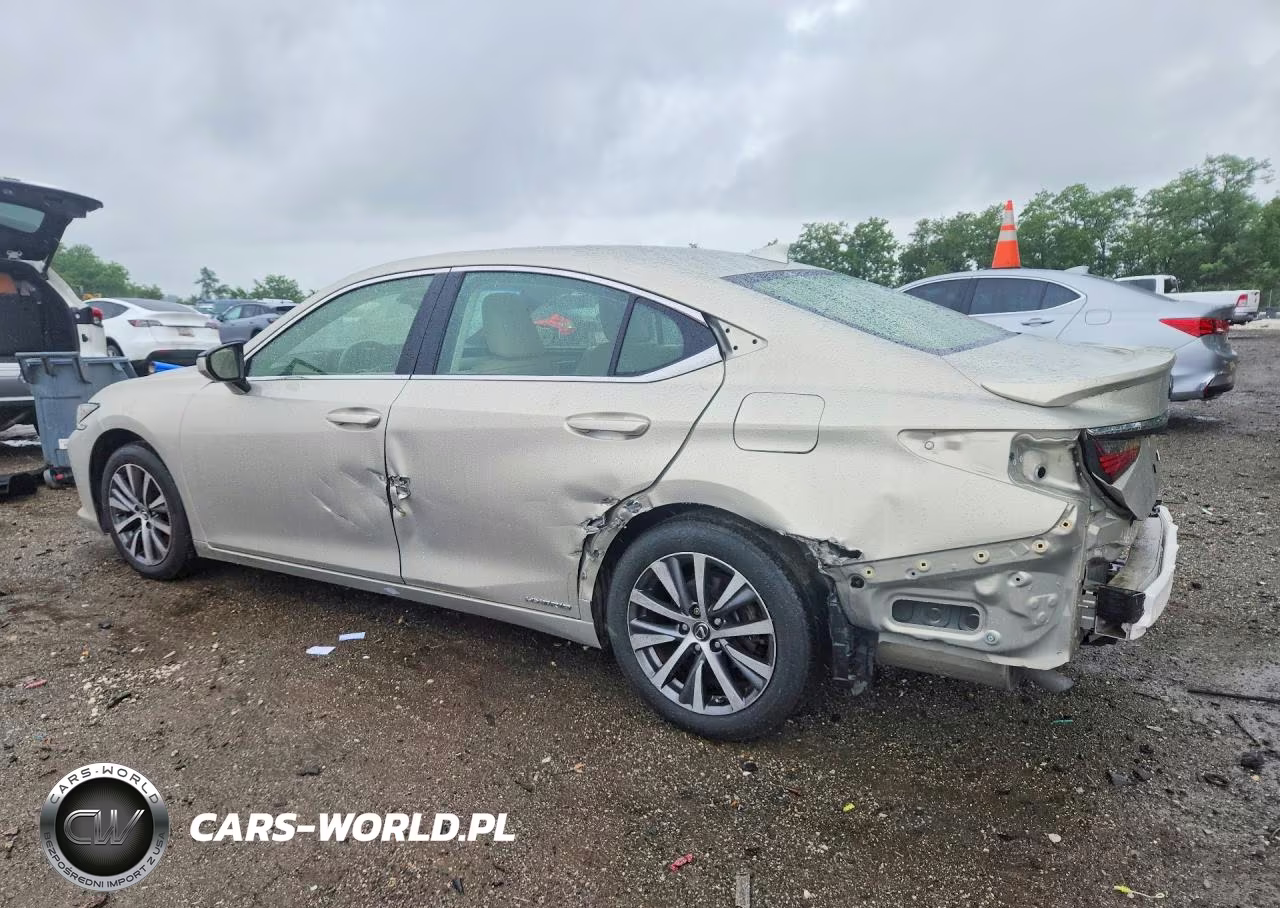 2019 Lexus Es 300H VIN:JTHB21B11K2030483 - 2