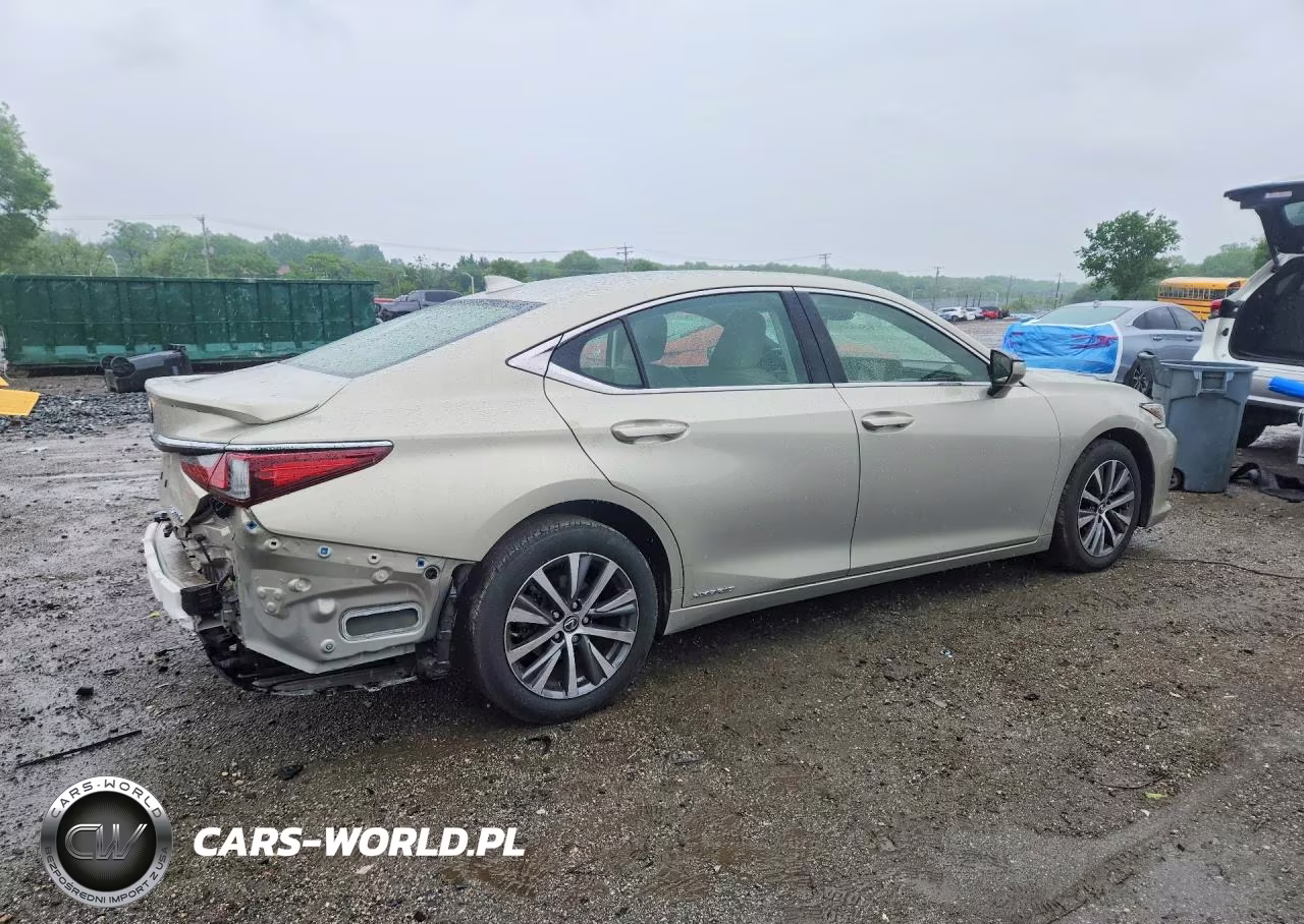 2019 Lexus Es 300H VIN:JTHB21B11K2030483 - 3