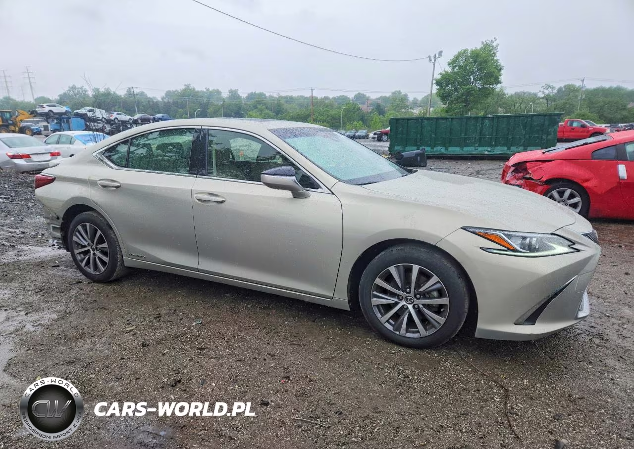 2019 Lexus Es 300H VIN:JTHB21B11K2030483 - 4