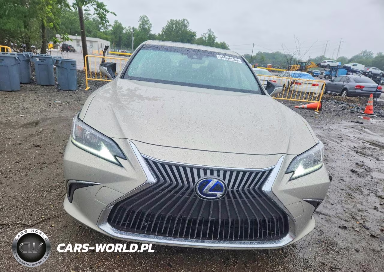 2019 Lexus Es 300H VIN:JTHB21B11K2030483 - 5