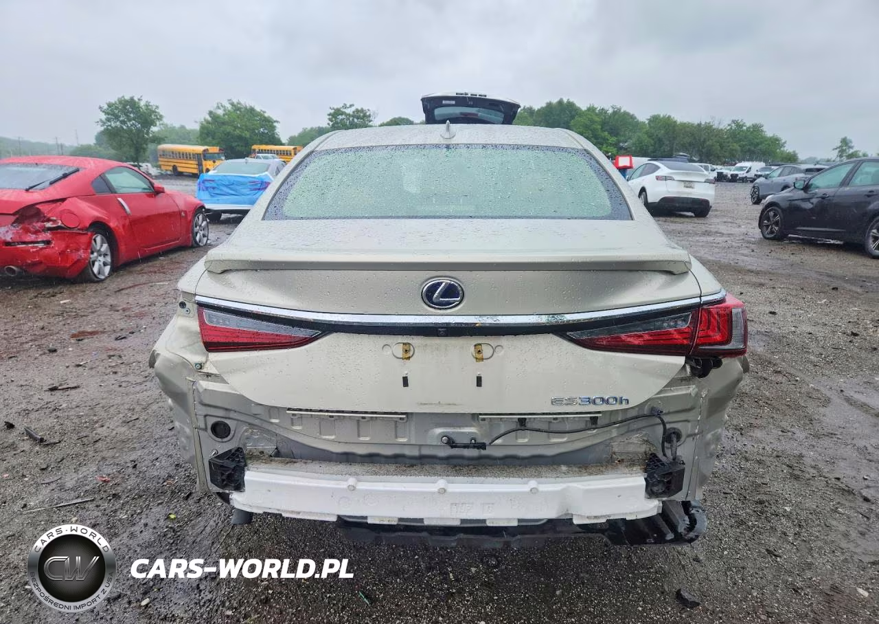 2019 Lexus Es 300H VIN:JTHB21B11K2030483 - 6