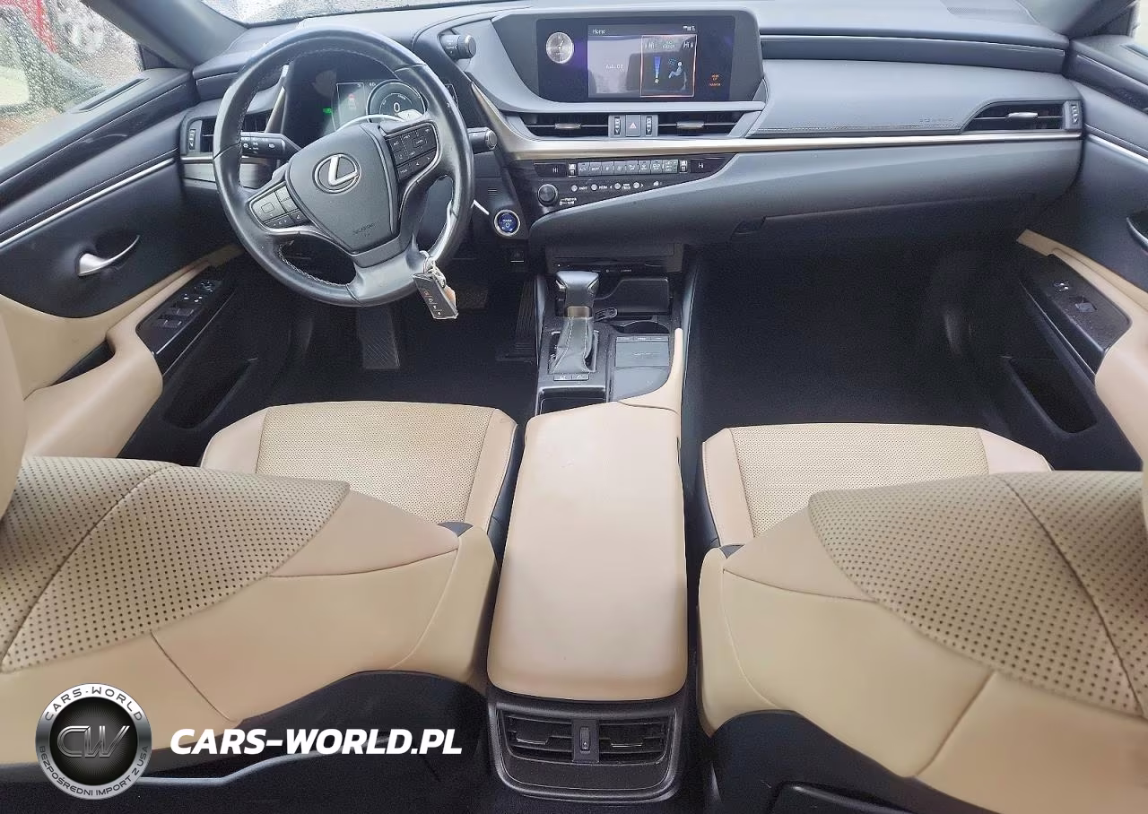 2019 Lexus Es 300H VIN:JTHB21B11K2030483 - 8