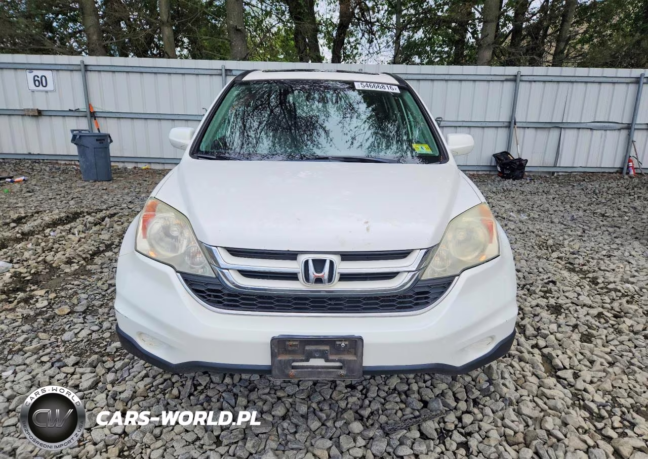 2010 Honda Cr-V Exl VIN:5J6RE4H70AL055575 - 5