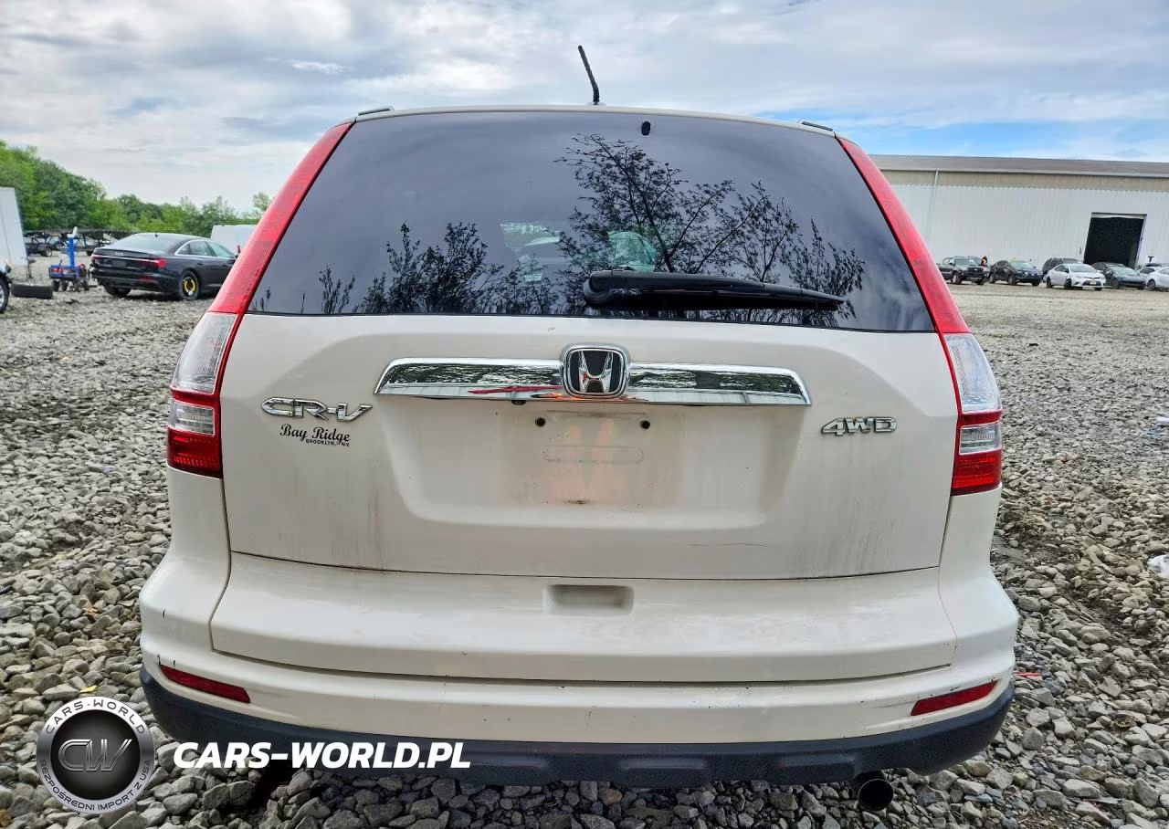 2010 Honda Cr-V Exl VIN:5J6RE4H70AL055575 - 6