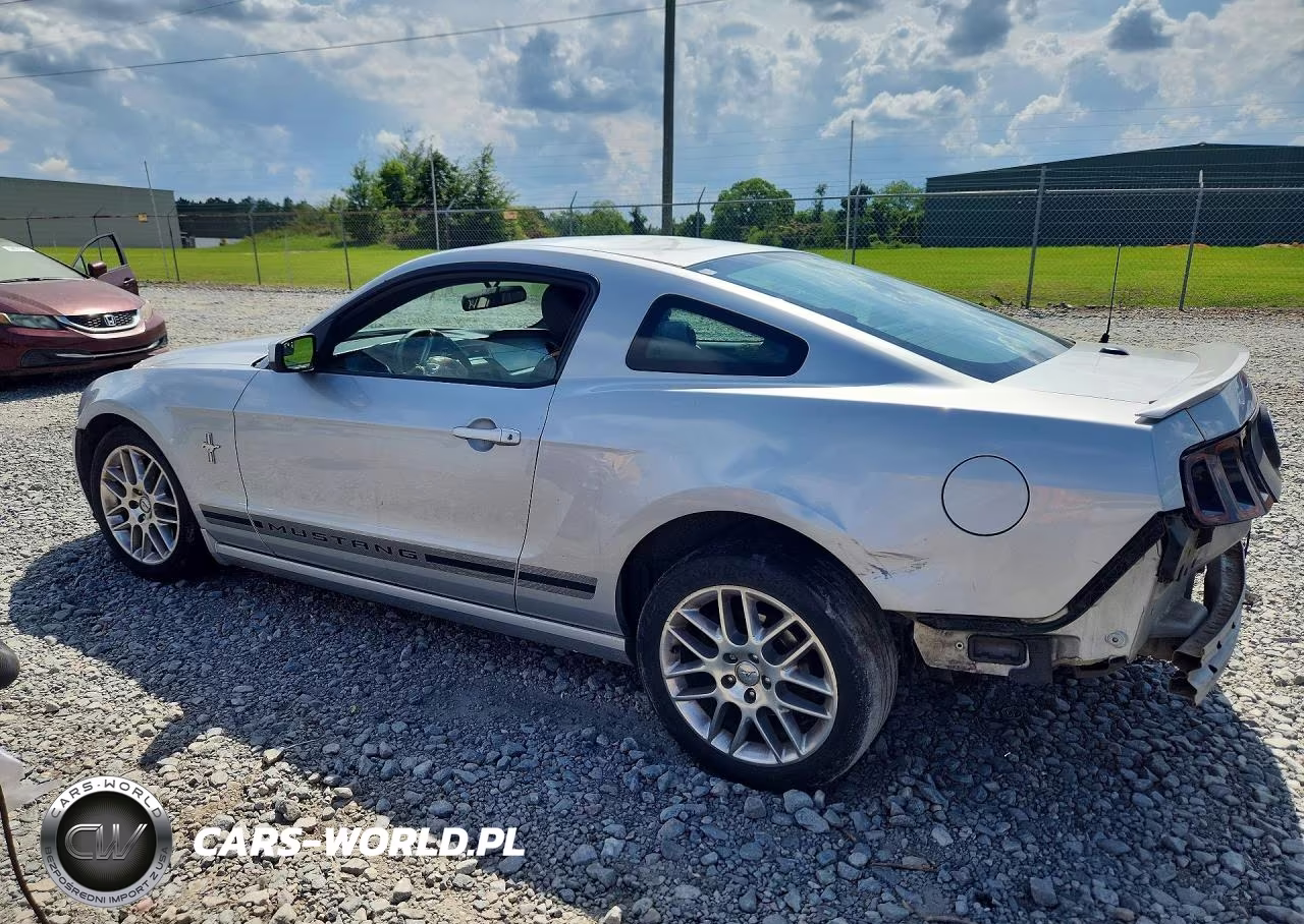 2013 Ford Mustang VIN:1ZVBP8AM8D5258213 - 2