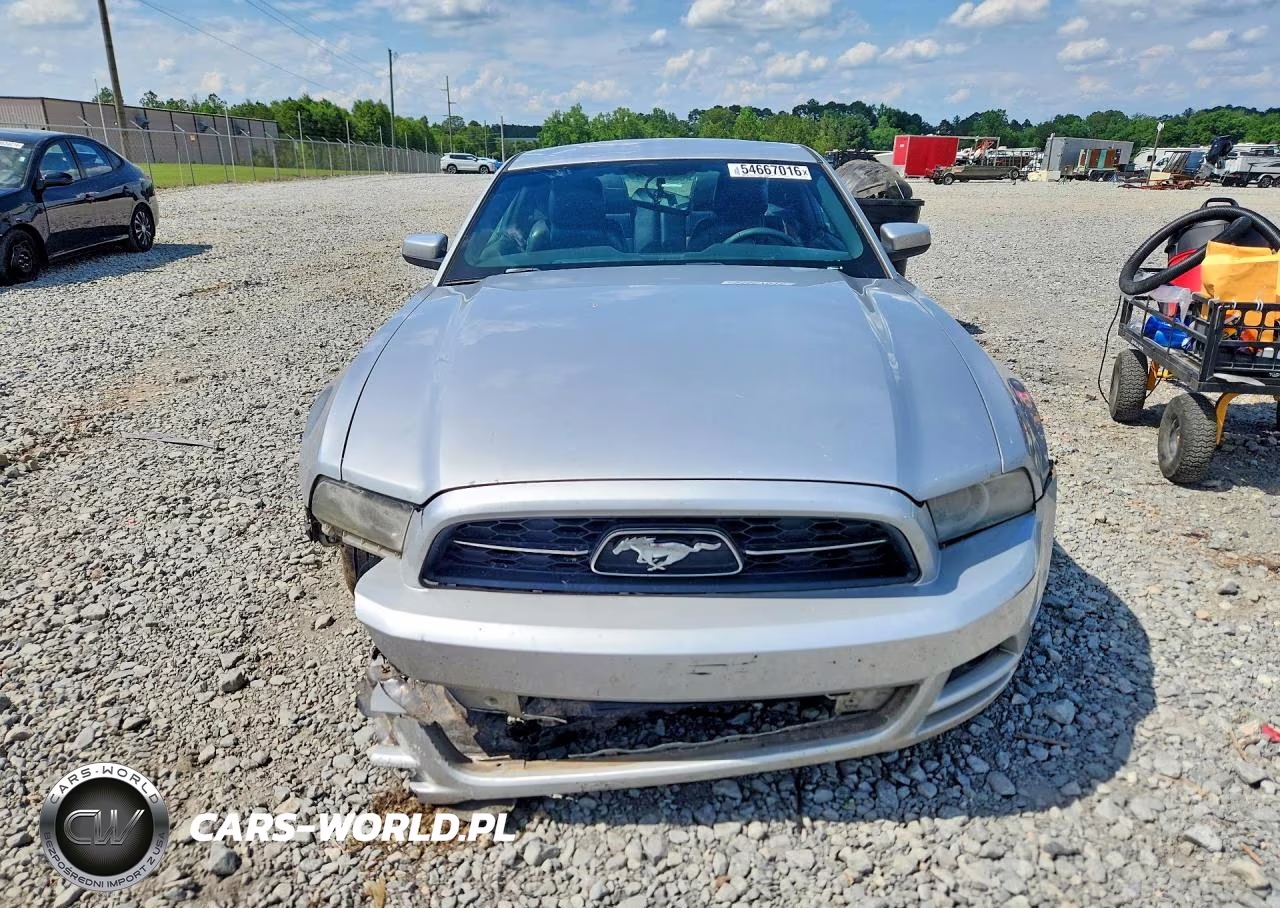 2013 Ford Mustang VIN:1ZVBP8AM8D5258213 - 5