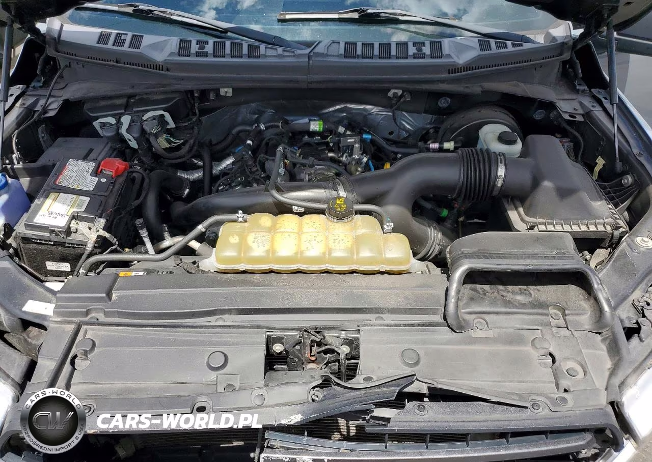 2020 Ford F150 Supercrew VIN:1FTEW1CP5LKE85036 - 11